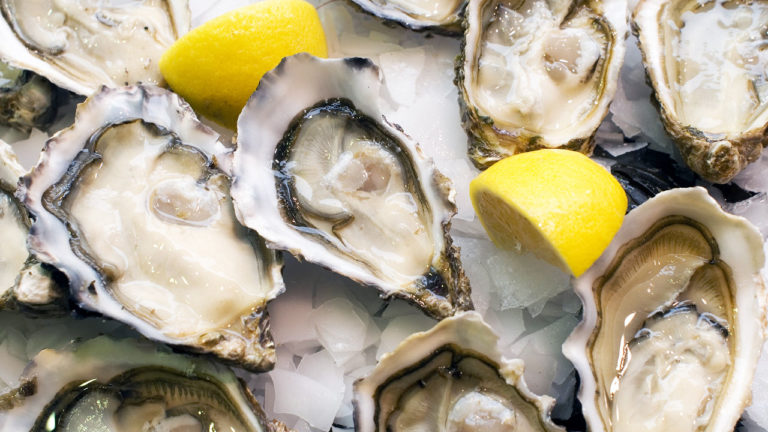 Oyster Fest & Oyster Stout Release
